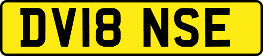 DV18NSE