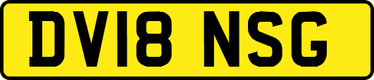 DV18NSG