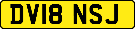DV18NSJ