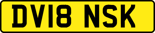 DV18NSK