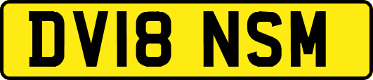 DV18NSM