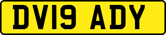 DV19ADY