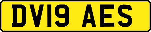 DV19AES