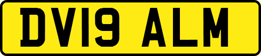 DV19ALM