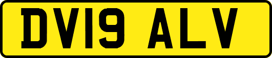 DV19ALV