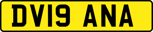 DV19ANA