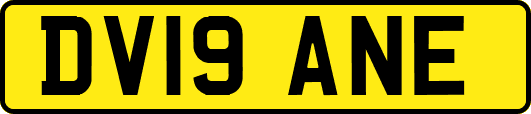 DV19ANE