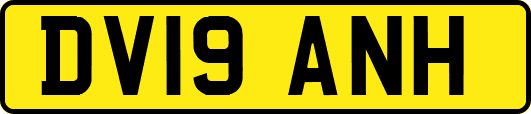 DV19ANH