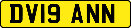 DV19ANN
