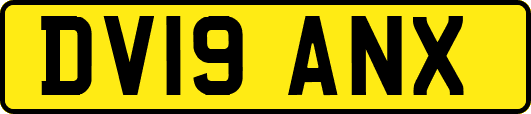 DV19ANX