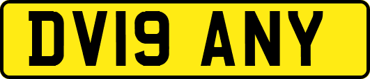 DV19ANY