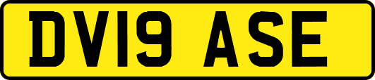 DV19ASE
