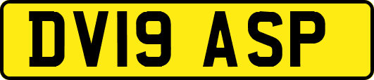 DV19ASP