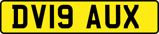 DV19AUX