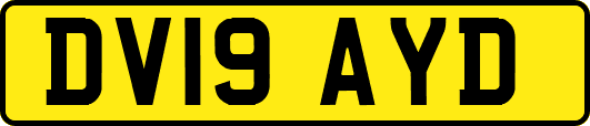 DV19AYD