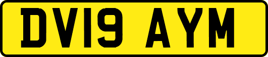 DV19AYM