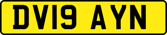 DV19AYN