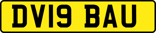 DV19BAU