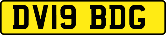 DV19BDG