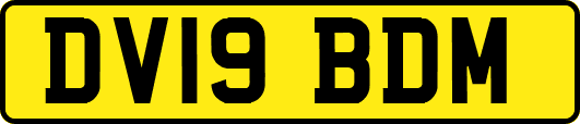 DV19BDM