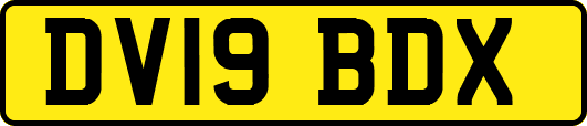 DV19BDX