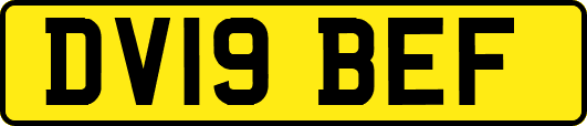 DV19BEF