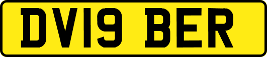 DV19BER
