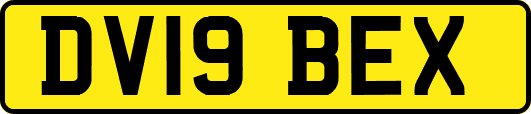 DV19BEX
