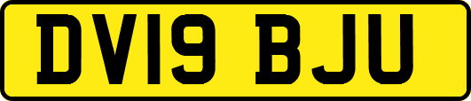 DV19BJU