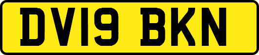 DV19BKN