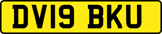 DV19BKU