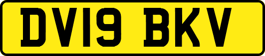 DV19BKV