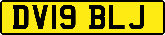DV19BLJ