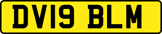 DV19BLM