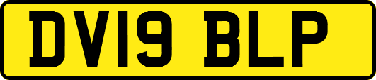 DV19BLP
