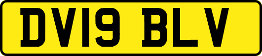 DV19BLV