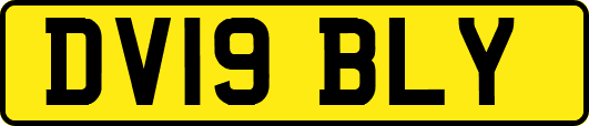 DV19BLY