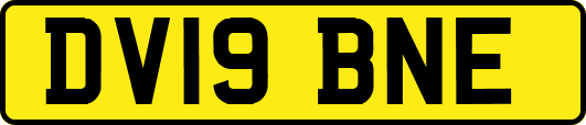DV19BNE