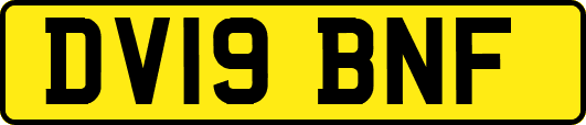 DV19BNF