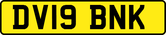DV19BNK