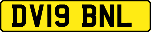 DV19BNL