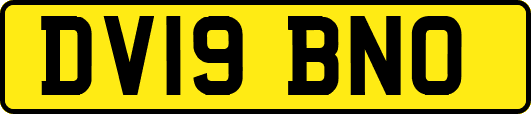 DV19BNO