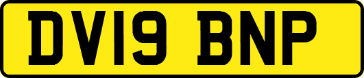 DV19BNP