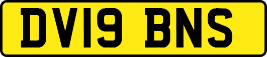 DV19BNS