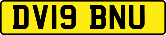 DV19BNU