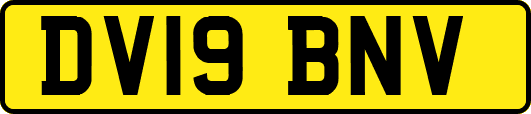 DV19BNV