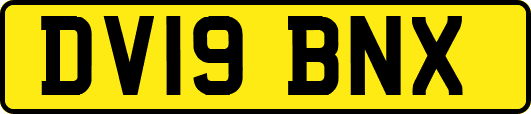 DV19BNX