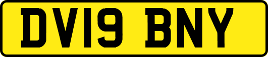 DV19BNY