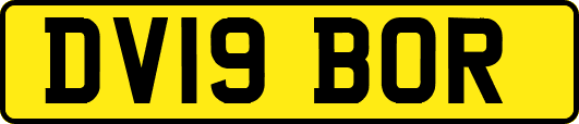 DV19BOR