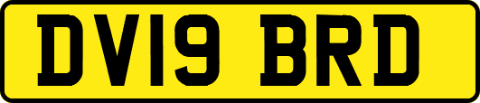 DV19BRD
